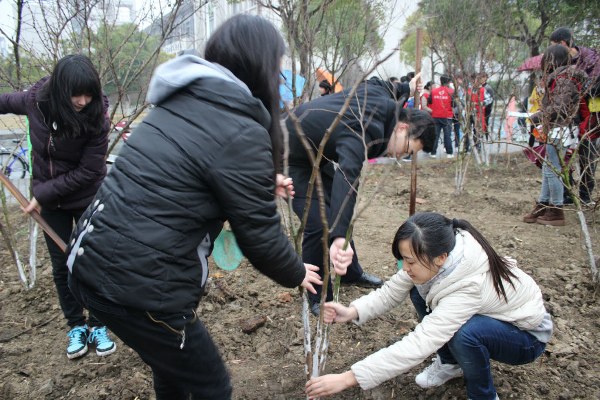【学生活动】我院雨中植树扮靓校园